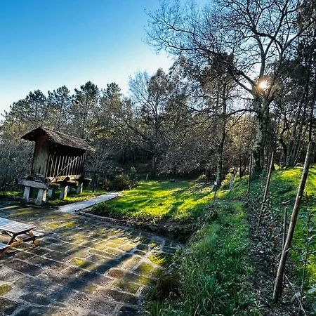 Eira Das Carvalhas Penafiel Luaran gambar
