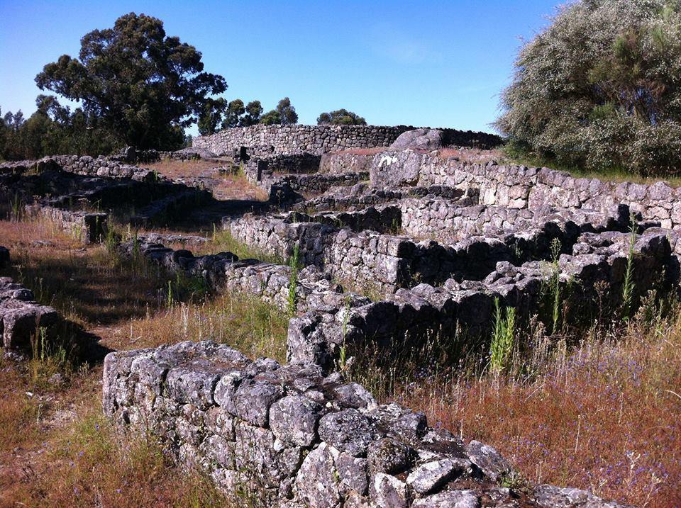 Eira Das Carvalhas Penafiel Bilik gambar