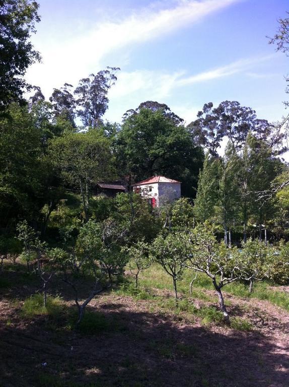 Eira Das Carvalhas Penafiel Bilik gambar